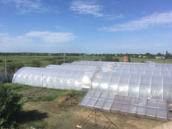 Тепличное хозяйство с фермой